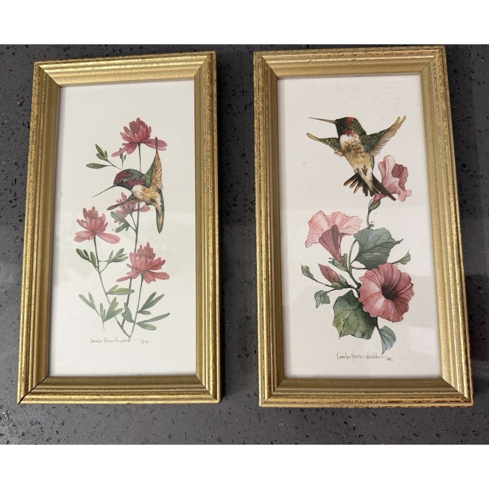 Vtg Carolyn Shores Wright Hummingbird Prints Wall Decor Gold Frames Lot‎ Of 2